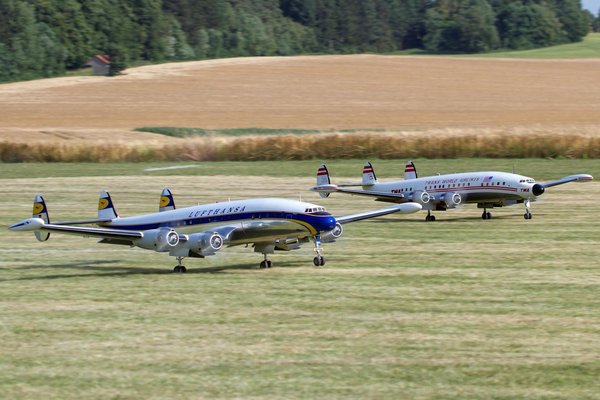 Révélez l'éclat de vos cheveux avec l'huile de camélia : astuces indispensables pour une application réussie !